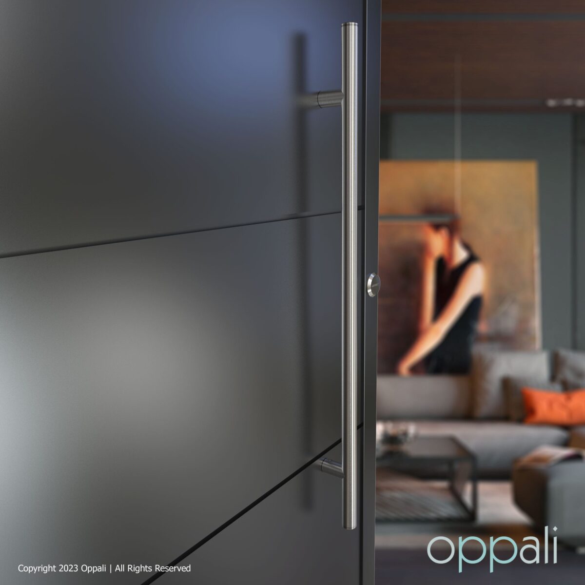 Oppali Gebürstet Rostfreier Stahl 304 Haustür-Beschlag Stoßgriffe Ziehgriff Art.550 | Stangen-Griff Durchmesser 25mm | Runden T-Bar – Bild 3