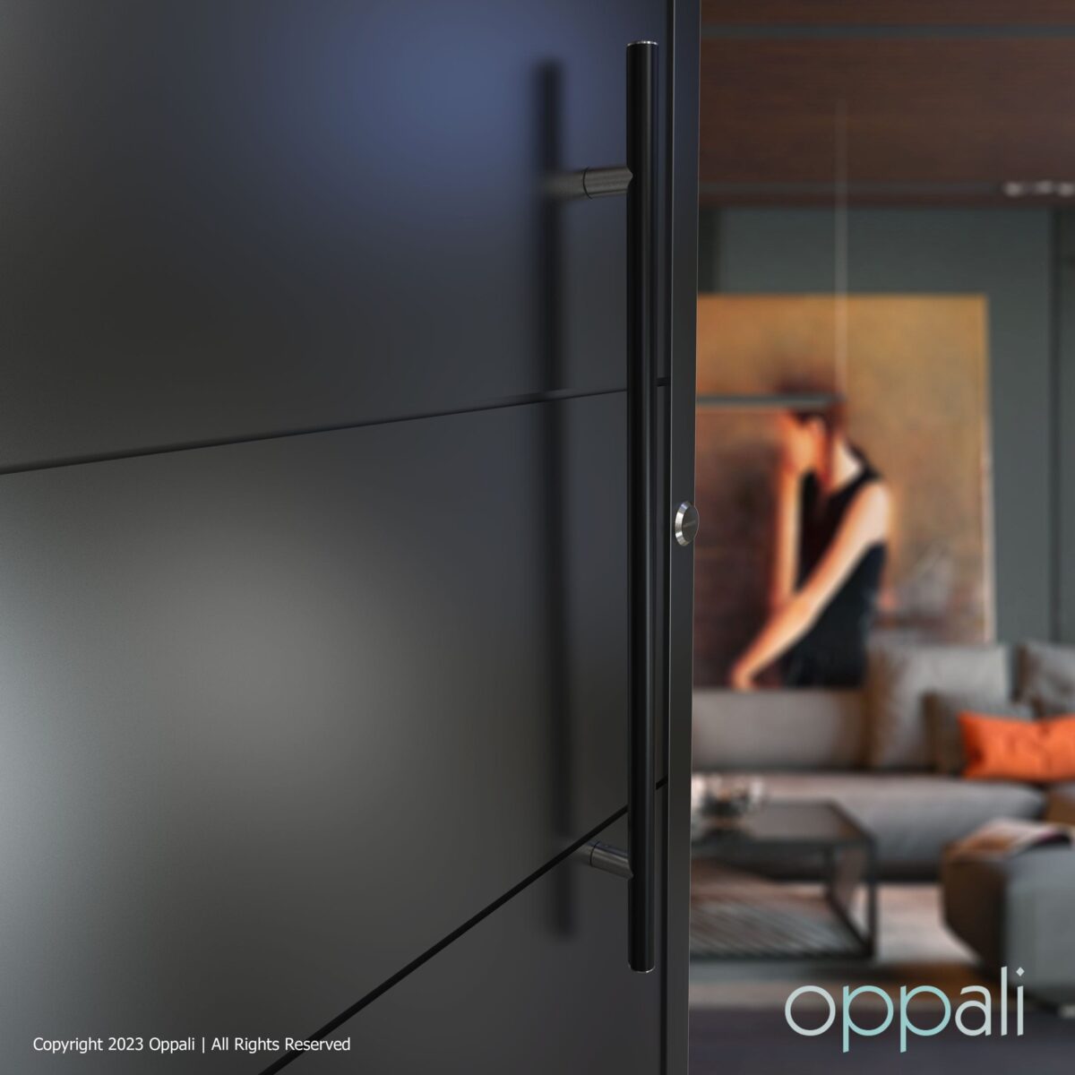 Door-pull-handles-SS-55008-doorpromo-02-69-Oppali_WM Oppali Black-Brushed Stainless steel 304 Entrance door Pull handle | Handle Diameter 25mm | Round T-Bar | - Image 3
