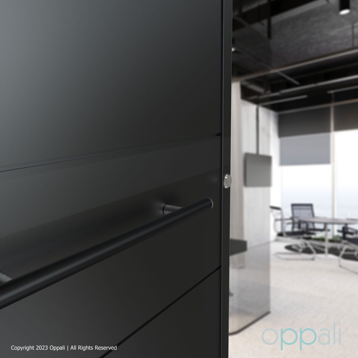 Oppali Black-Brushed Stainless steel 304 Entrance door Pull handle | Handle Diameter 30mm | Round T-Bar | - Image 1