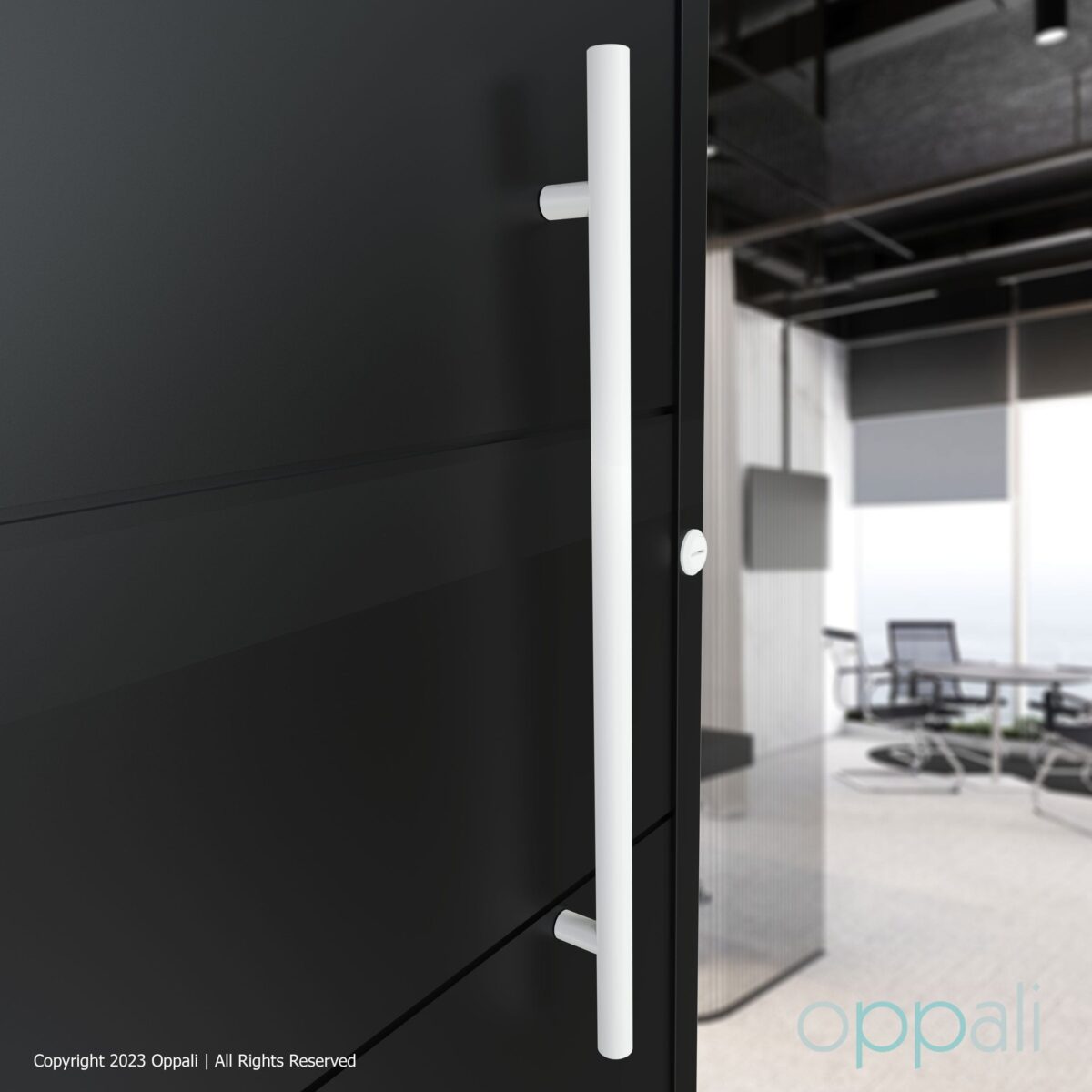 Oppali Estera blanca Acero inoxidable 304 Puerta Delantera Tiradores | Diámetro Del Mango 30mm | Redondo T-Bar - Imagen 3