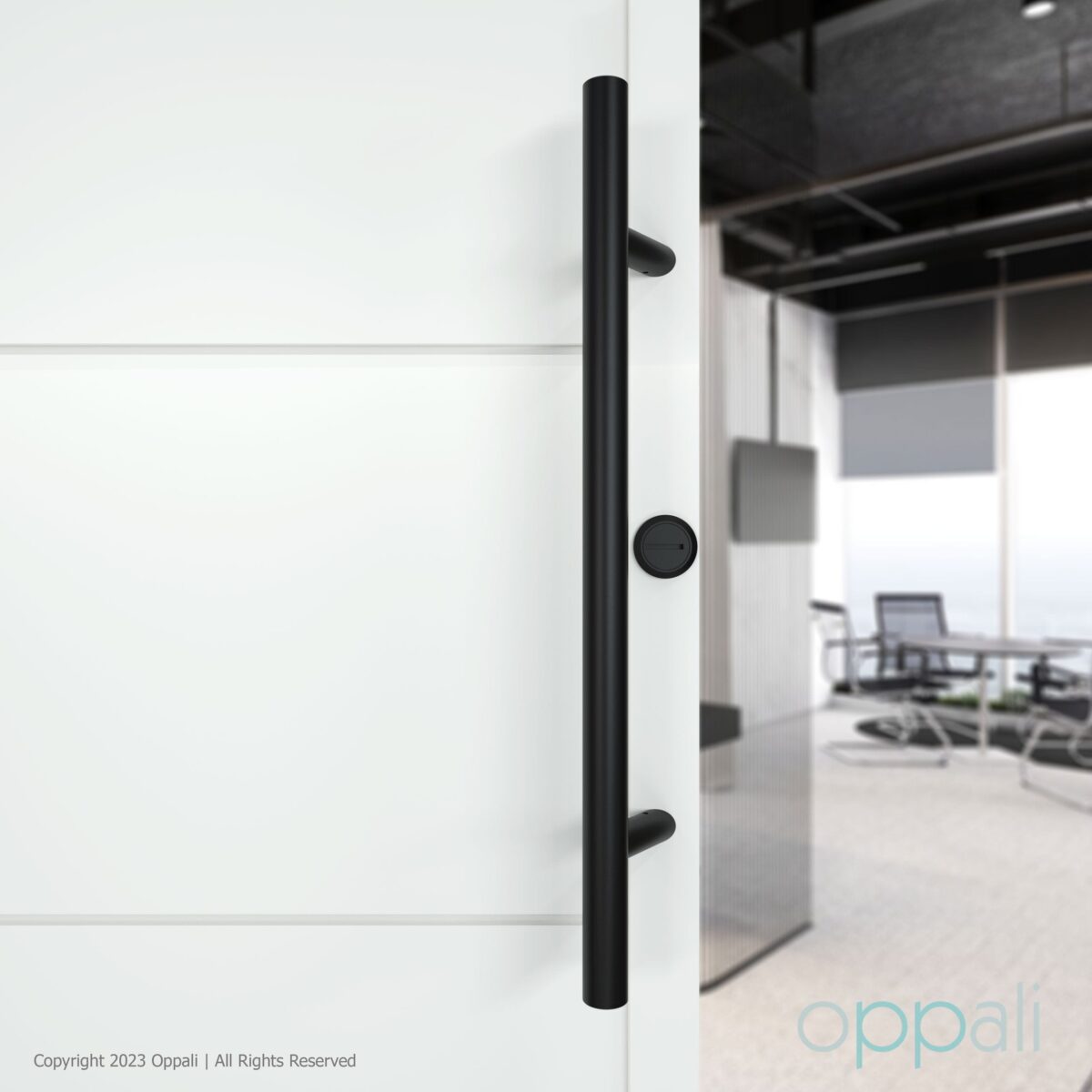 Door-pull-handles-SS-57008-doorpromo-02-10-Oppali_WM Oppali Black Stainless steel 304 Entrance door Pull handle | Inclined at an angle of 45° | Round T-Bar | - Image 3